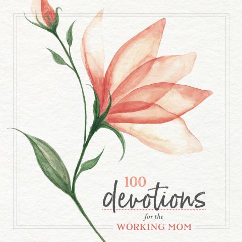 100 Devotions For The Working Mom