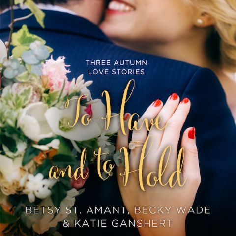 To Have and to Hold (A Year of Weddings Novella)