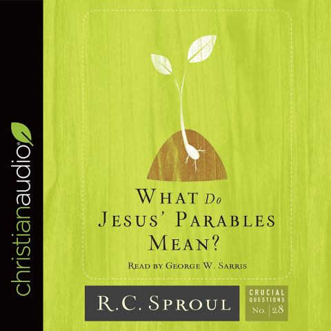 What Do Jesus' Parables Mean? (Crucial Questions Series, #28)