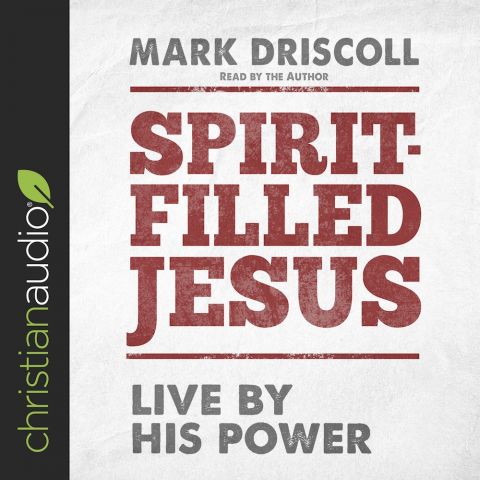 Spirit-Filled Jesus