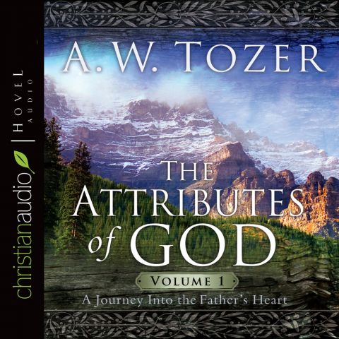 The Attributes Of God V1: A Journey Into The Father's Heart