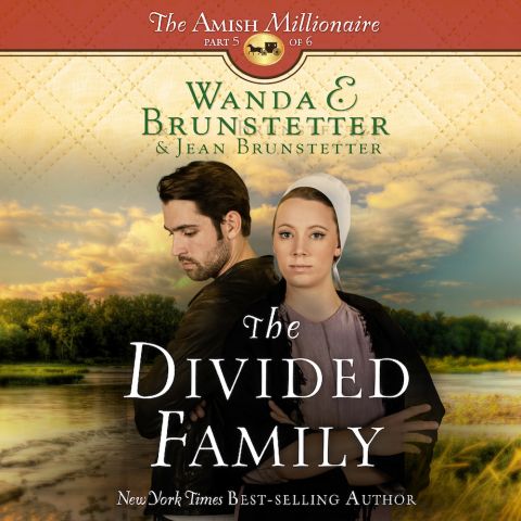 The Divided Family (The Amish Millionaire, Book #5)