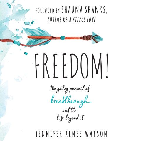 Freedom!: The Gutsy Pursuit of Breakthrough and the Life Beyond It