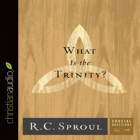 What Is the Trinity? (Series: Crucial Questions, Book #10)