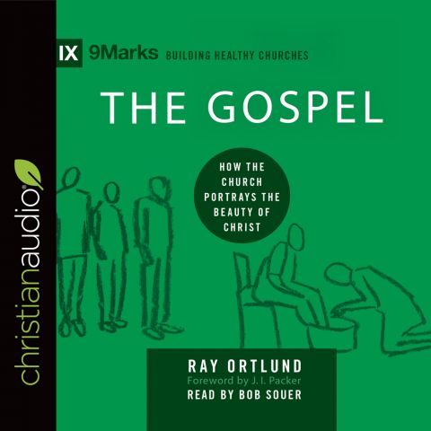 The Gospel (9Marks Series)
