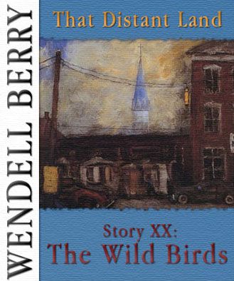 That Distant Land, Story 20: The Wild Birds