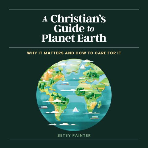 A Christian_s Guide to Planet Earth ZV