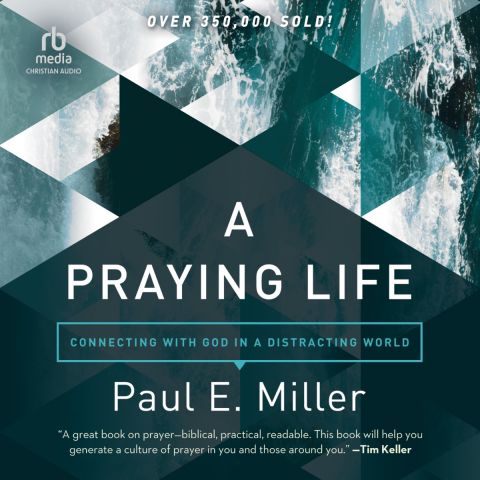 A Praying Life (Connecting with God in a Distracting World)