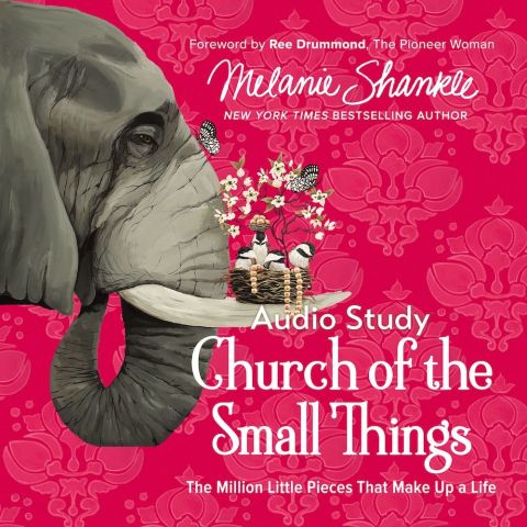 Church of the Small Things: Audio Bible Studies