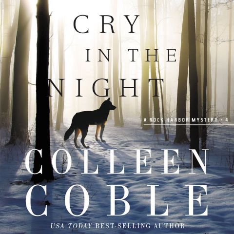 Cry in the Night (Rock Harbor Series, Book #4)