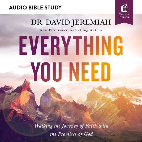 Everything You Need (Audio Bible Studies)