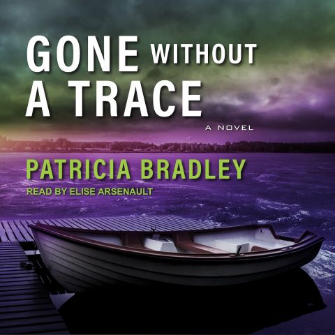 Gone without a Trace (Logan Point, Book #3)