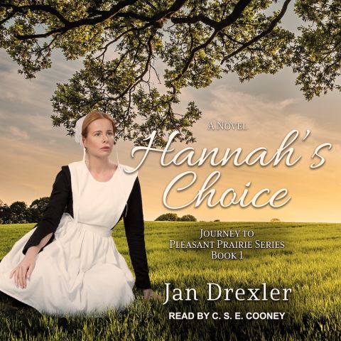 Hannah's Choice (Journey to Pleasant Prairie, Book #1)
