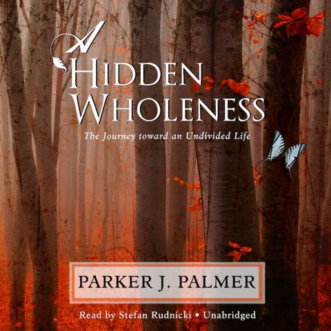 The Hidden Wholeness