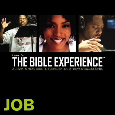 Inspired By … The Bible Experience Audio Bible - Today's New International Version, TNIV: (17) Job