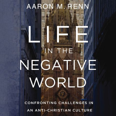 Life In The Negative World