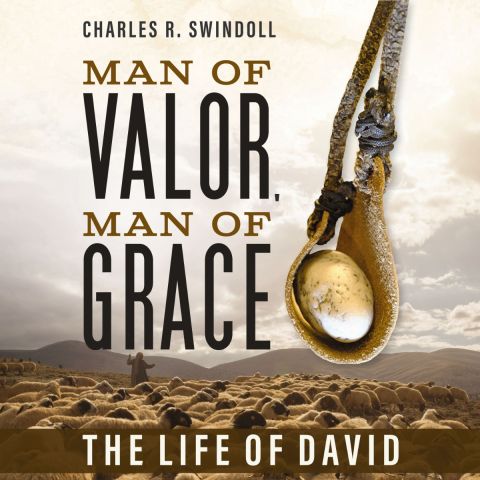 Man Of Valor, Man Of Grace: The Life of David 