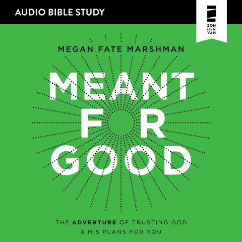 Meant for Good (Audio Bible Studies)