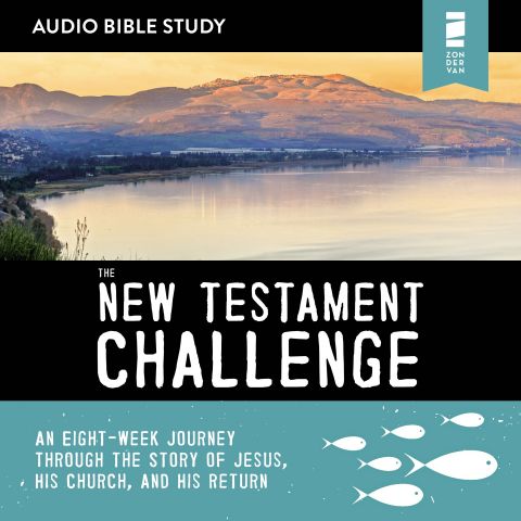 The New Testament Challenge: Audio Bible Studies