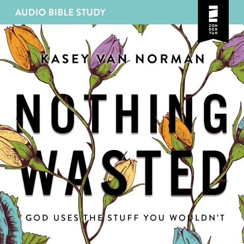 Nothing Wasted (Audio Bible Studies)