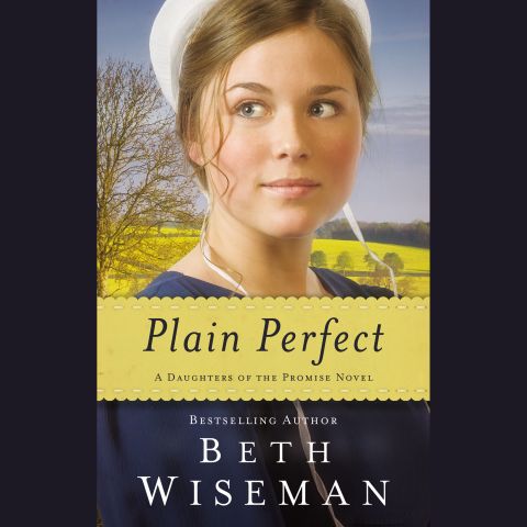 Plain Perfect (A Daughters of the Promise Novel, Book #1)