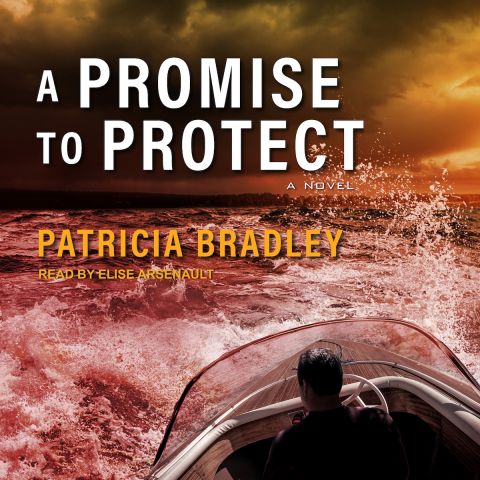 A Promise to Protect (Logan Point, Book #2)
