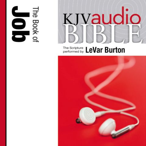 Pure Voice Audio Bible - King James Version, KJV: (15) Job