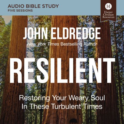 Resilient: Audio Bible Studies
