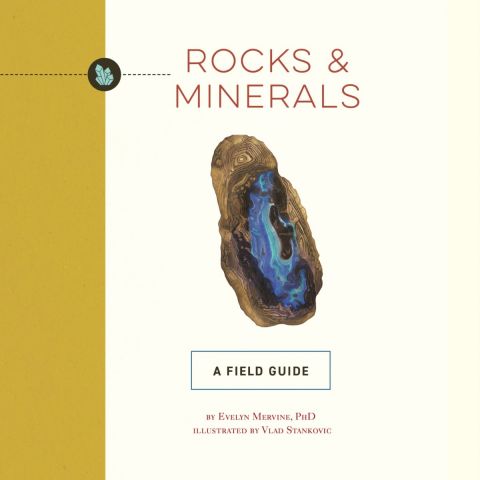 Rocks And Minerals