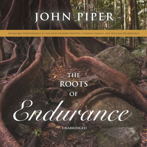 The Roots of Endurance (The Swans Are Not Silent Series, Book #3)