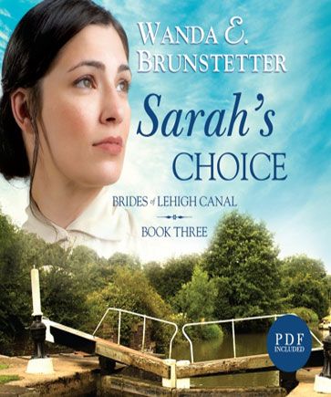 Sarah's Choice (Brides of Lehigh Canal Series, Book #3)
