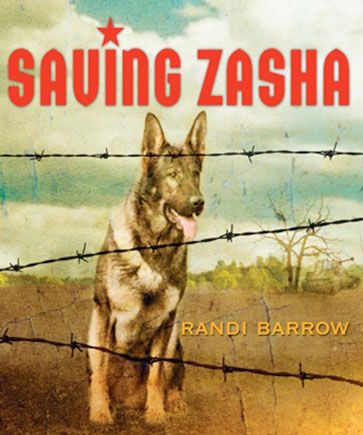 Saving Zasha