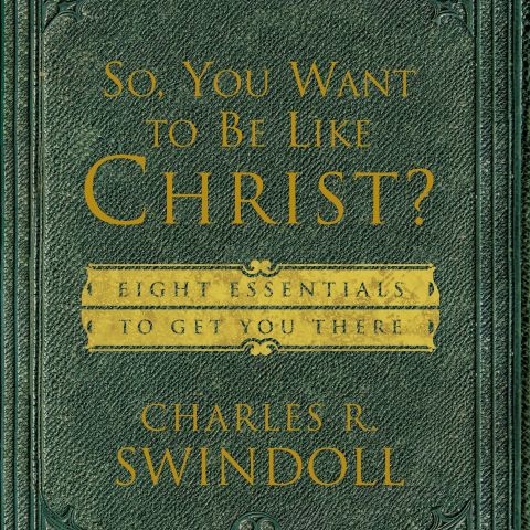 So, You Want To Be Like Christ?