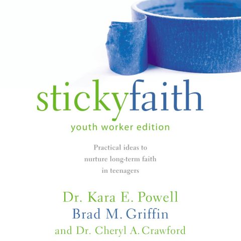 Sticky Faith, Youth Worker Edition