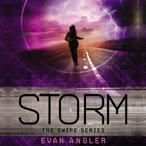 Storm (Swipe Series, Book #3)