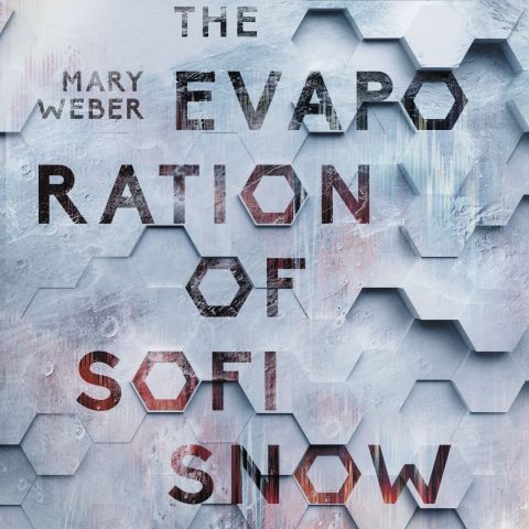 The Evaporation of Sofi Snow (Sofi Snow, Book #1)