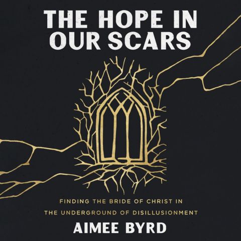 The Hope In Our Scars