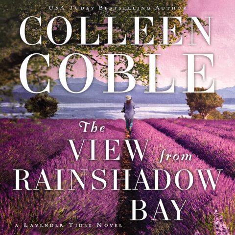 The View from Rainshadow Bay (A Lavender Tides Novel, Book #1)