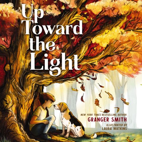 Up Toward The Light