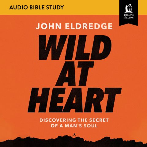 Wild at Heart Updated: Audio Bible Studies