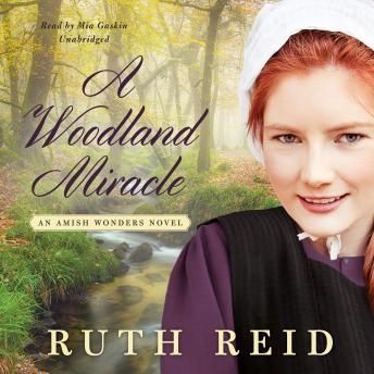 A Woodland Miracle (The Amish Wonders Series, Book #2)