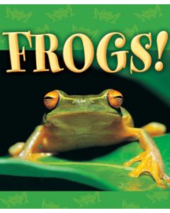 Frogs!