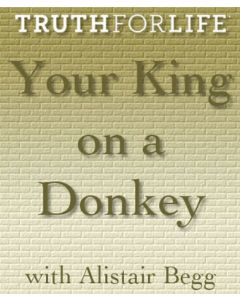 Your King on a Donkey