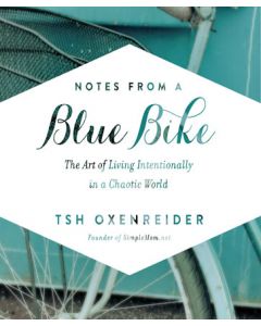 Notes from a Blue Bike