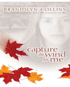 Capture the Wind for Me (The Bradleyville Series, Book #3)
