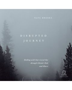 Disrupted Journey