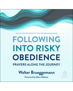 Following into Risky Obedience