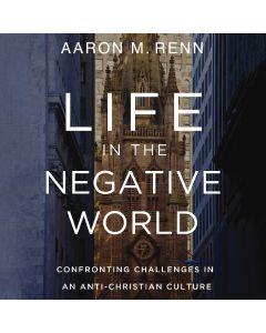 Life In The Negative World