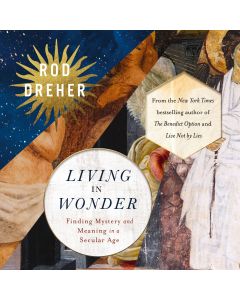 Living In Wonder