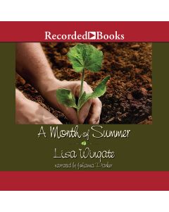 A Month of Summer (Blue Sky Hill, Book #1)